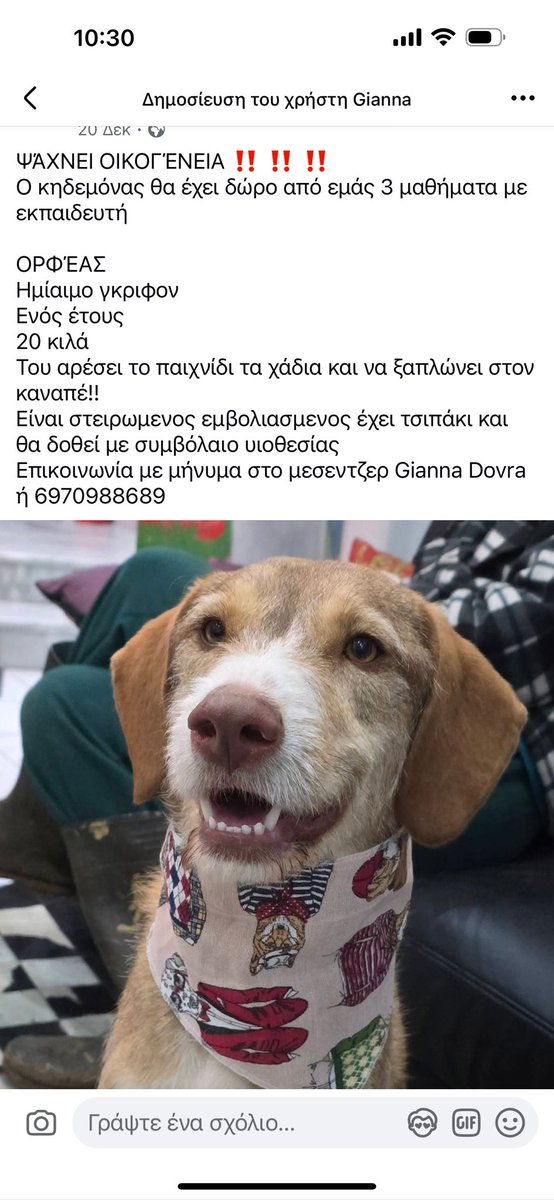 Προς υιοθεσία