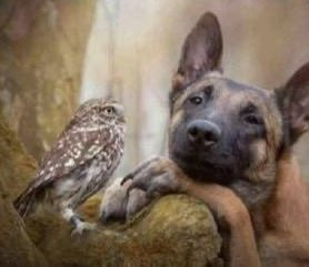 ItsLeecapalot's tweet photo. Me waiting for my n1gga to black out so that I can chew him 😂😂 https://t.co/QKMILDOVeH
