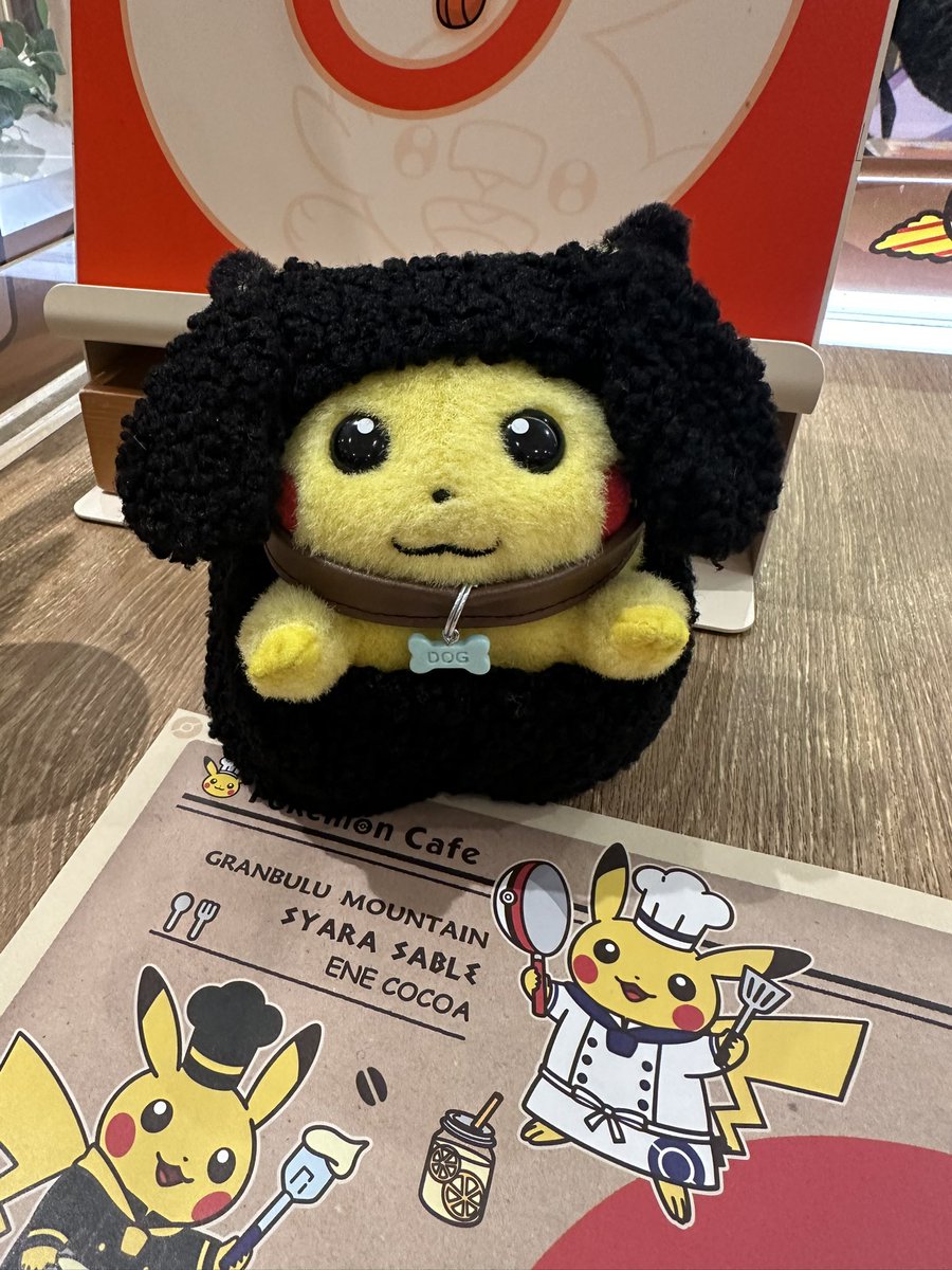 ぴかおり@ピカチュウLOVE (@guragura3) / Posts / X