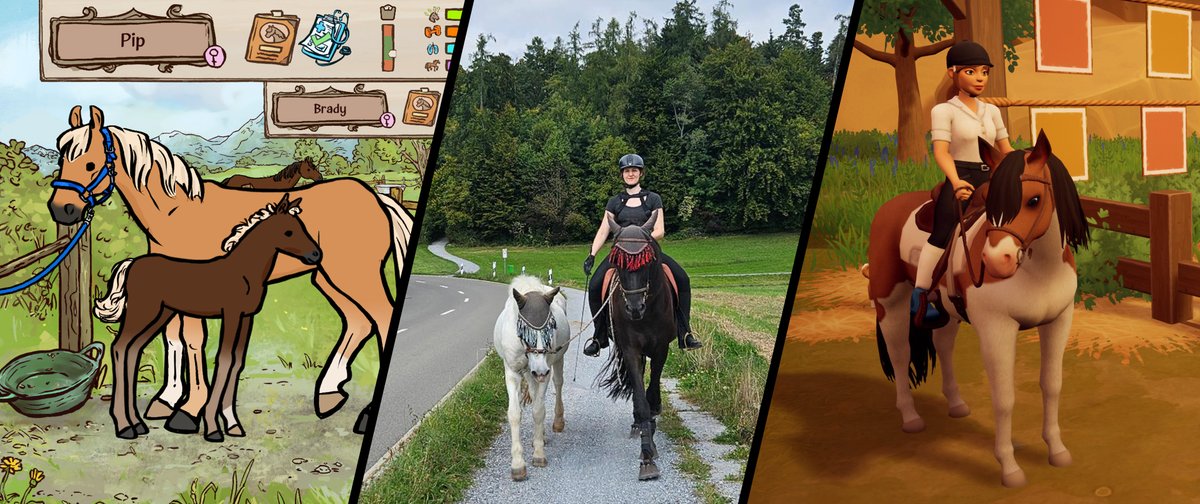 NEW ARTICLE: 2025 in Review – Website Stats, Highlights and Musings

themanequest.com/blog/2025/12/2…