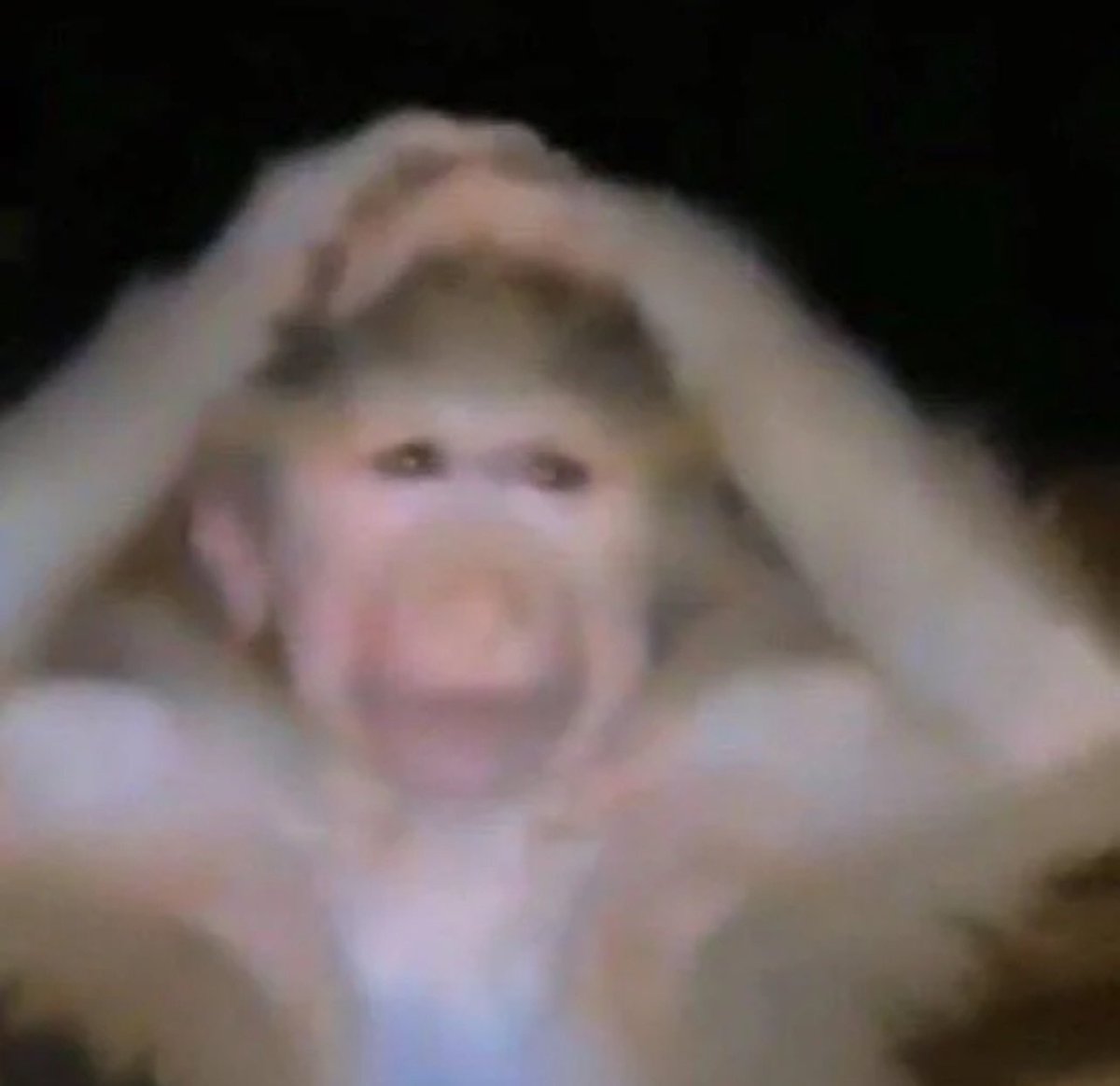 fvckleo7's tweet image. 