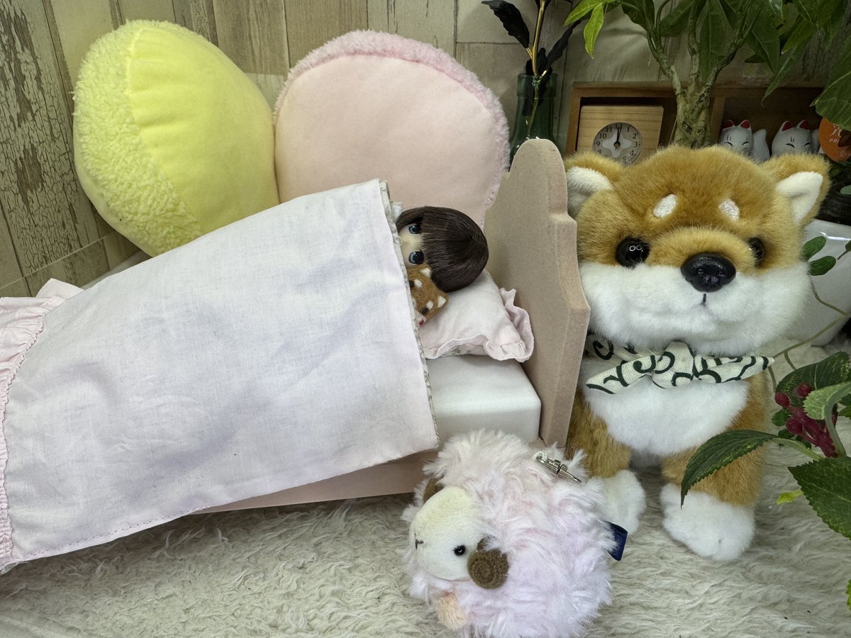 くまきち (@bearbeartyan) / Posts / X