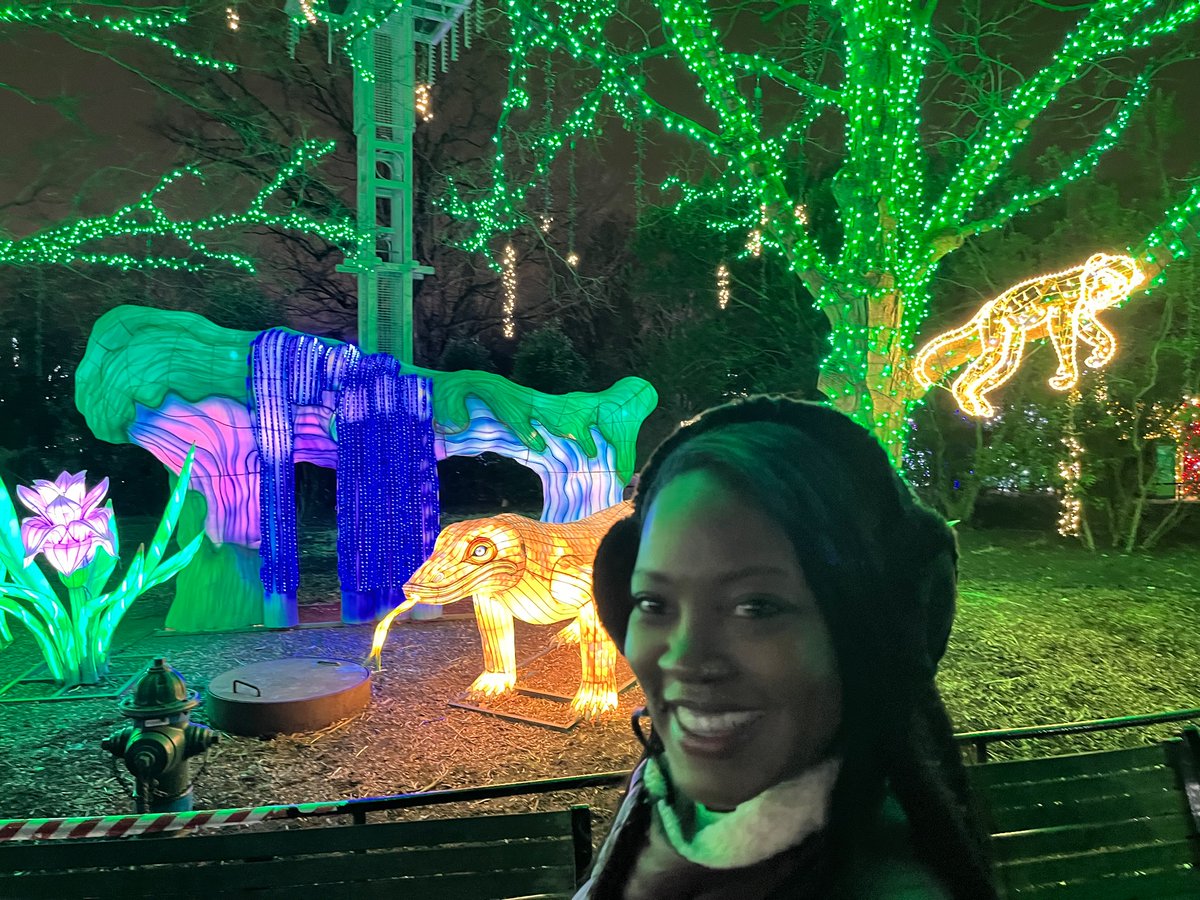 IWearTheCrownB's tweet photo. #Zoolights 2025 https://t.co/k1GT7rJjBA