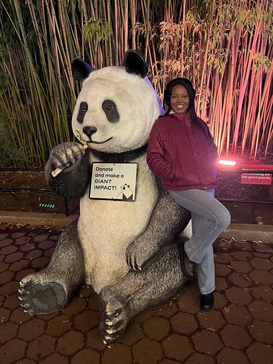 IWearTheCrownB's tweet photo. #Zoolights 2025 https://t.co/k1GT7rJjBA
