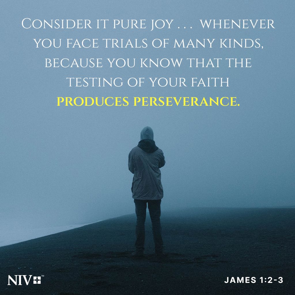 Consider it pure joy, my brothers and sisters, whenever you face trials of many kinds, because you know that the testing of your faith produces perseverance. James 1:2-3 #niv #nivbible #verseoftheday #votd