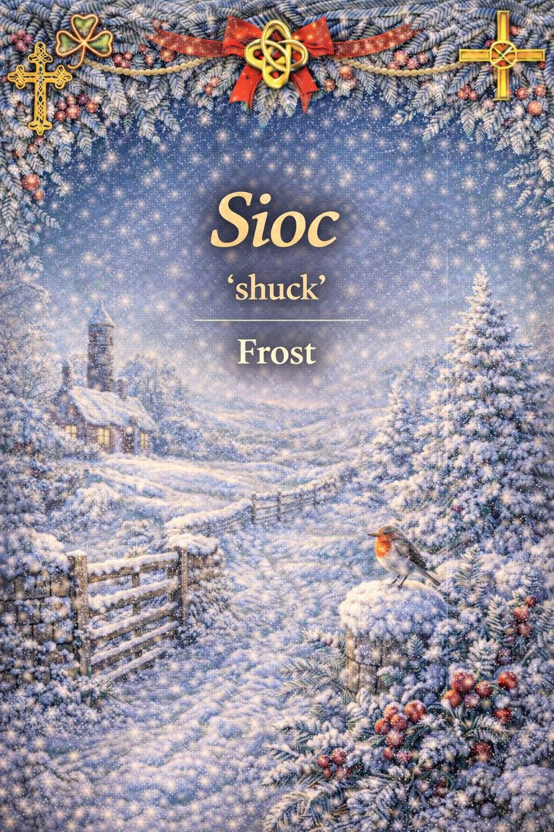 This is Ireland 🇮🇪☘️ tweet media