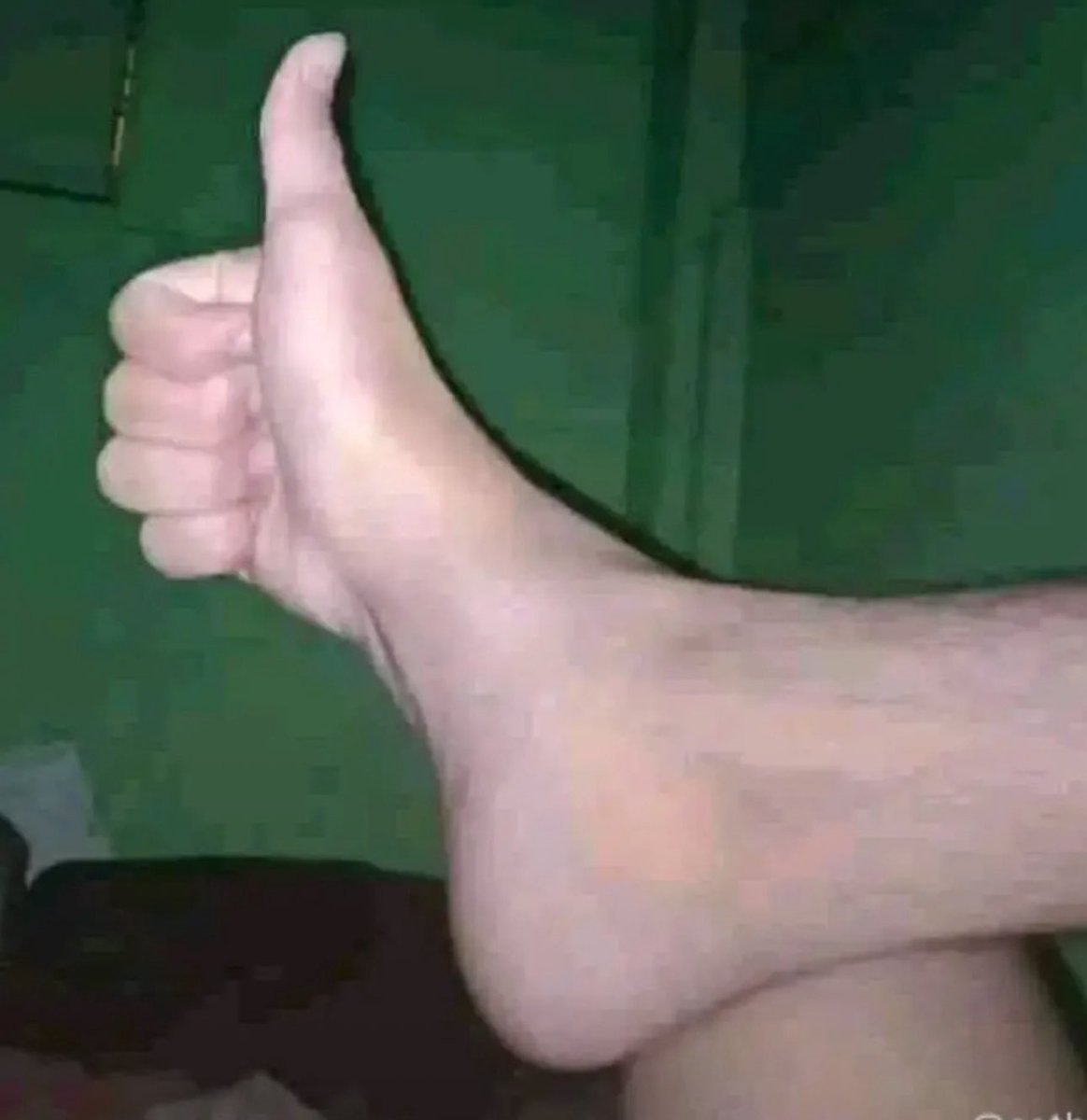 GIFcentral01's tweet image. Okay