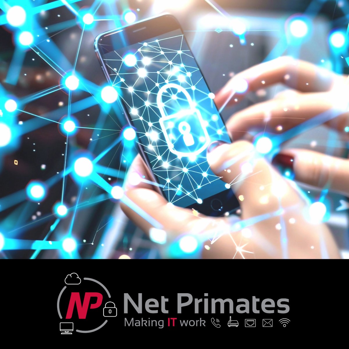 Net Primates tweet media