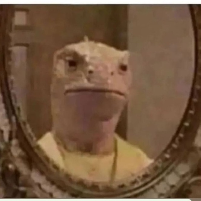 IŞİD,deaş, Taliban vb her ne boksa.Bunların itraile bir kurşun sıktığını gördünüzmu?Aha Gazze gitsenize.Devrim yasaları uygulamaya sokulmalı.Cemaat tarikat cart curt hepsinin köküne kibrit suyu.Yeter artık.Din bu değil.