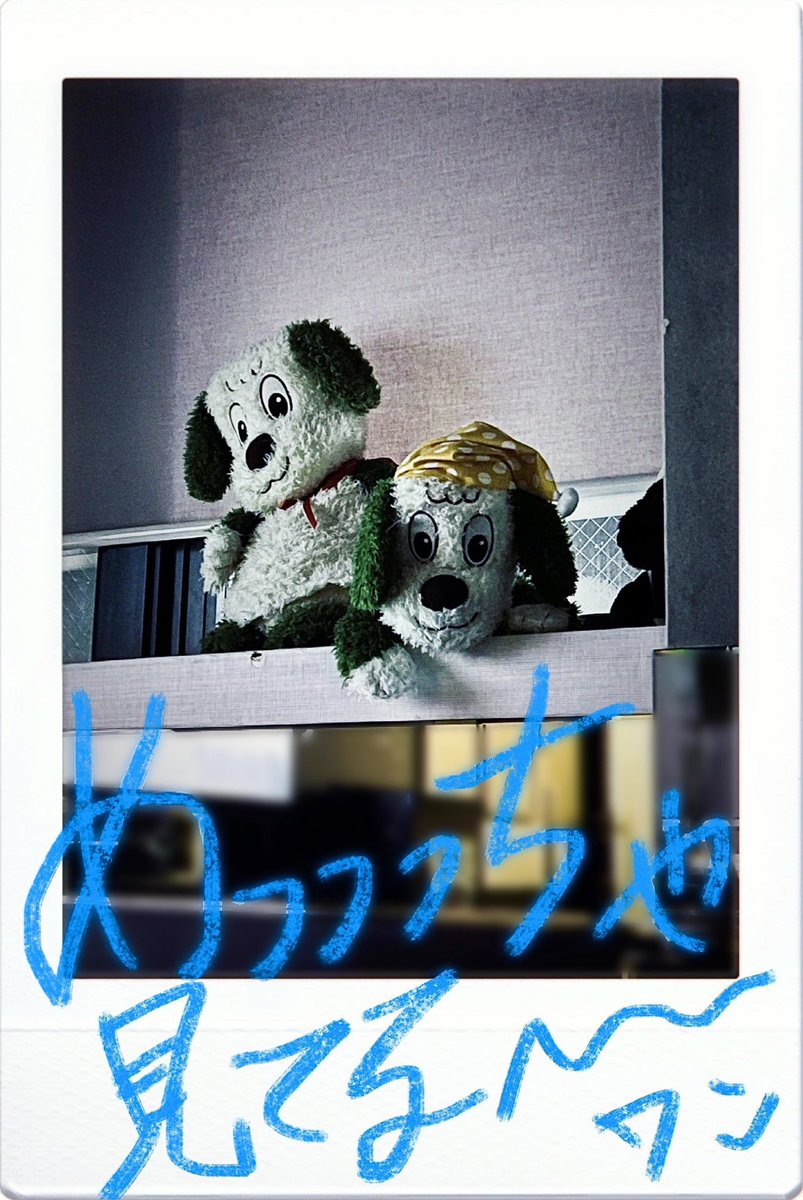 #yøw #yow
#ジェンダーレス #アロマンティック #アセクシュアル