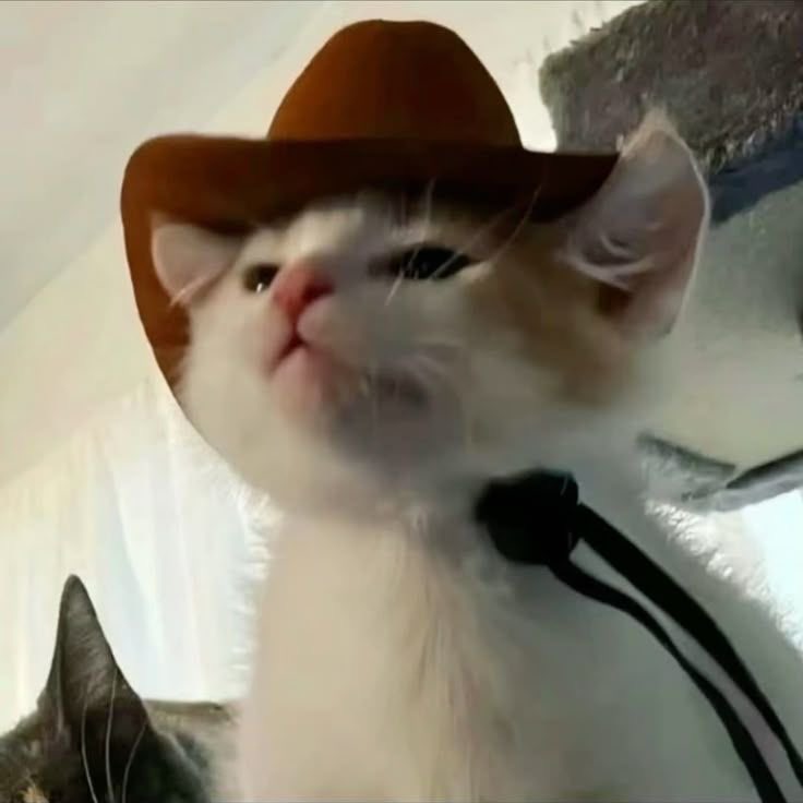 ㅇㅅㅇ (@mysunsunj_) on Twitter photo 