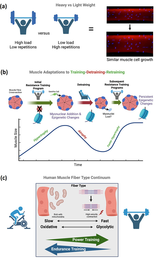Louisa Nicola tweet media