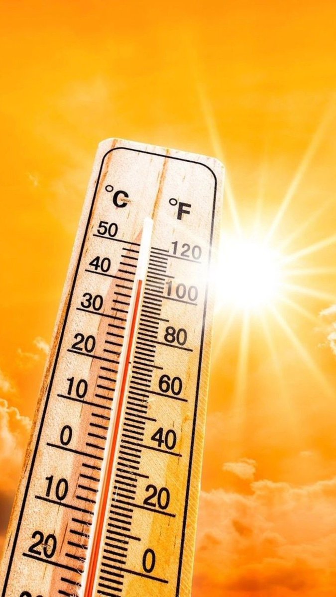 choquei's tweet image. 🚨BRASIL: Cachorro de porte médio foi resgatado em situação de maus-tratos  no Bairro Linhares, em Juiz de Fora, durante a onda de calor que atingiu a região. 

O animal estava preso por uma corrente curta sobre uma laje, sem água ou comida, exposto ao sol.