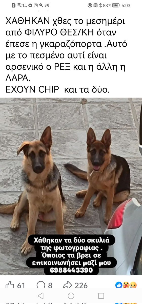 ‼️🆘‼️🆘‼️🆘💔Φιλυρο Θεσσαλονίκης. Αναζητούνται ‼️‼️‼️