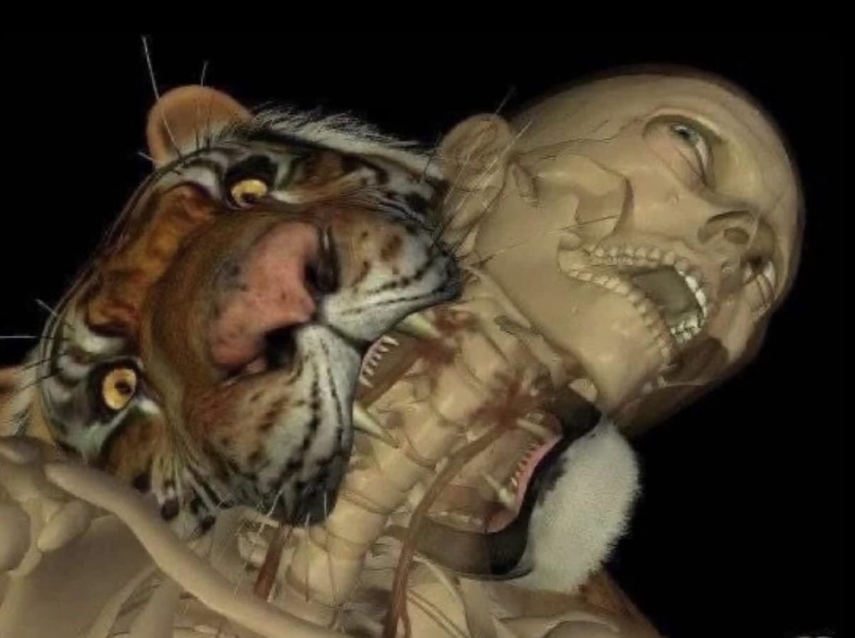 sam_niac's tweet image. i bet this actually feels really good for like a split second