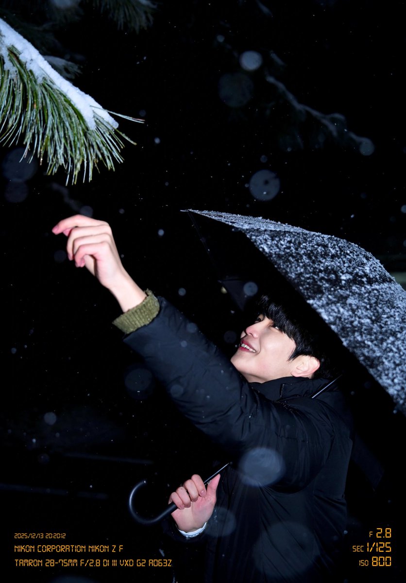 달리🐇 tweet media