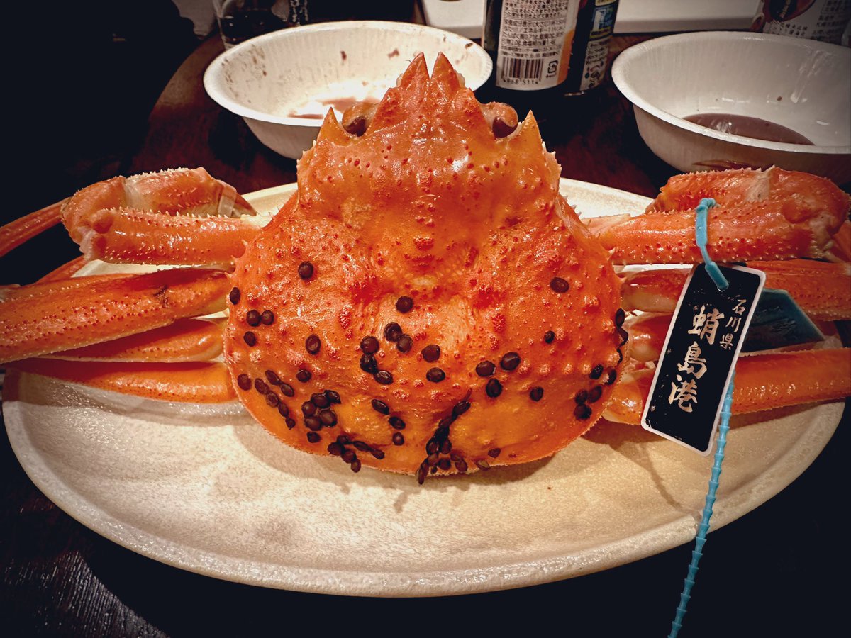 トーキョータナカ (@gaugaufukkou) / Posts / X