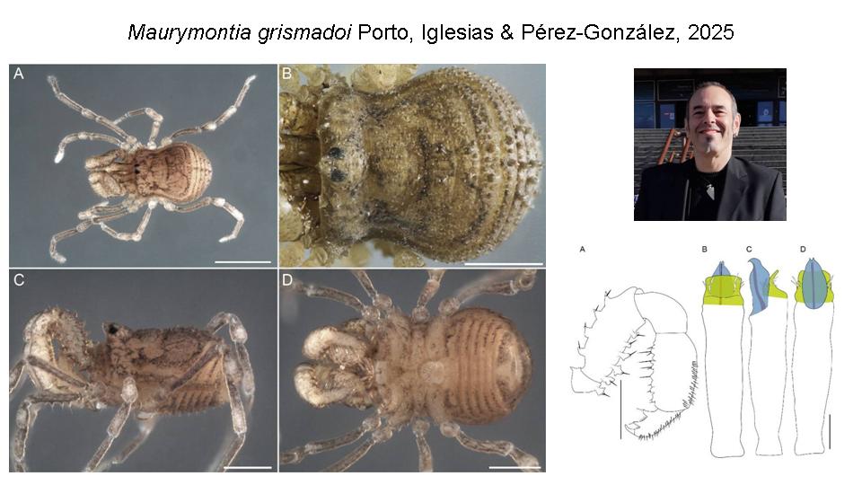 Abel Pérez González tweet media