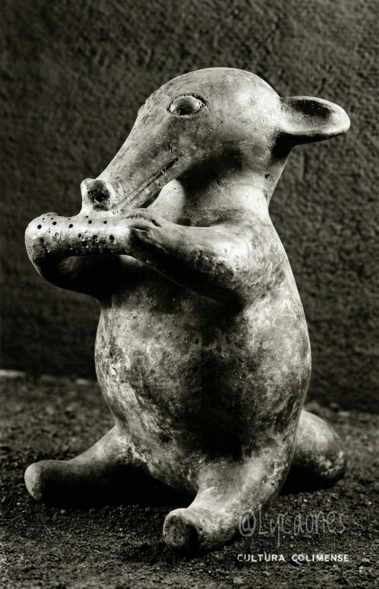 Tlacuache comiendo mazorca. Figurilla Zoomorfa hueca en barro que muestra un tlacuache sentado, detallado con incisiones y punzonados, disfrutando de una mazorca de maíz. #Arqueología