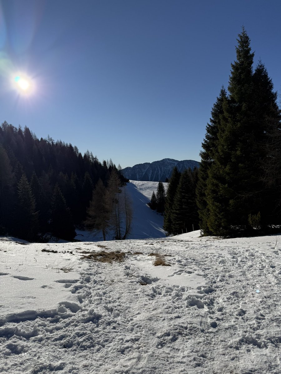 Riccardo Nalesso tweet media