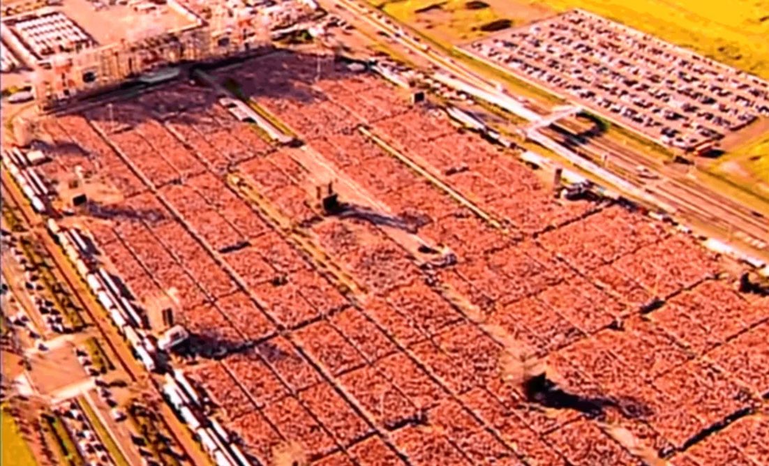 jun_666_jun's tweet image. 何回見てもGLAYの20万人ライブ圧巻すぎるしほぼ鰻重