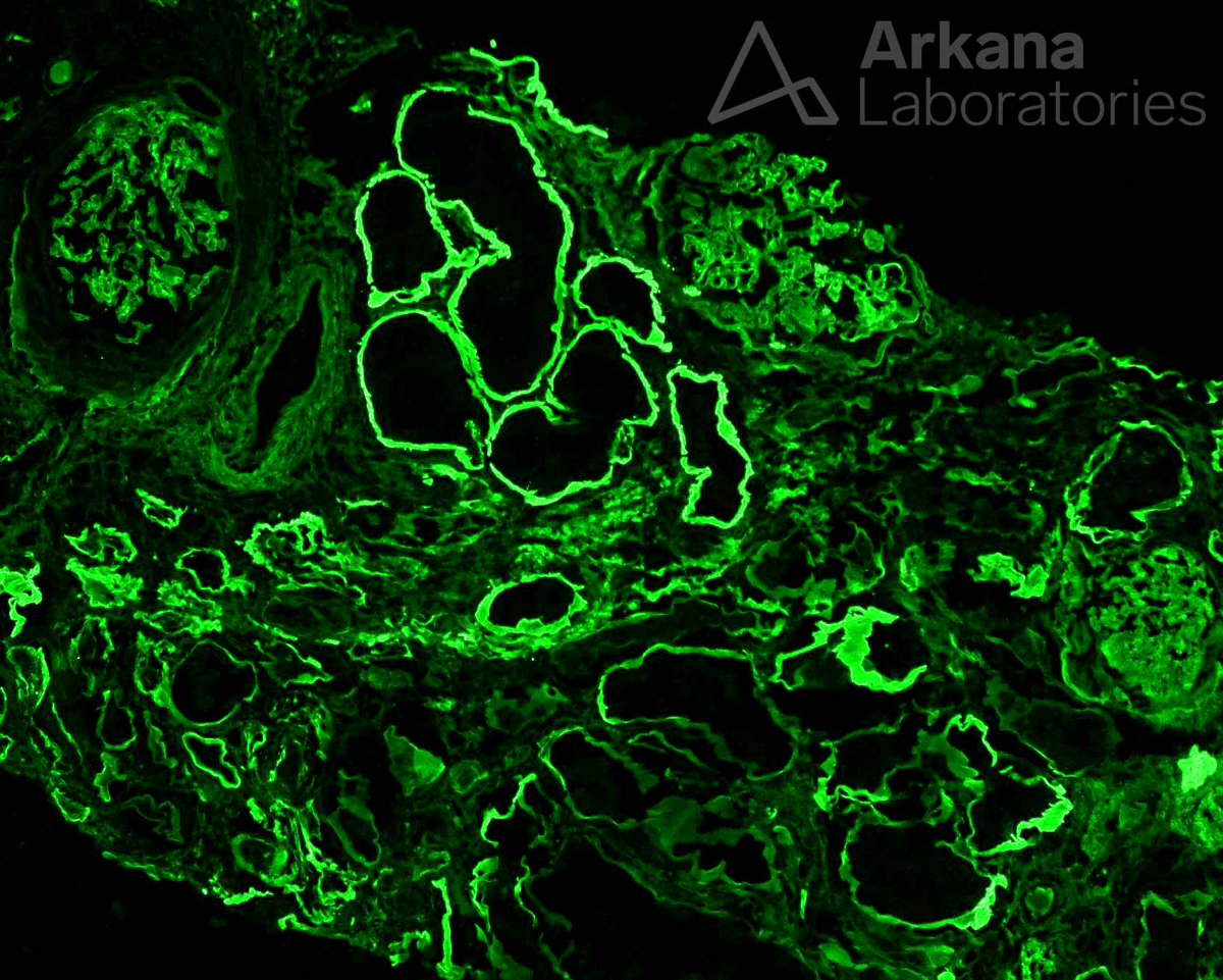 Arkana Laboratories tweet media
