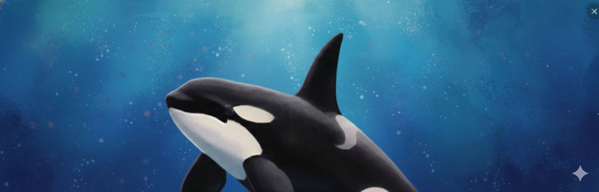 Crypto Hector tweet media