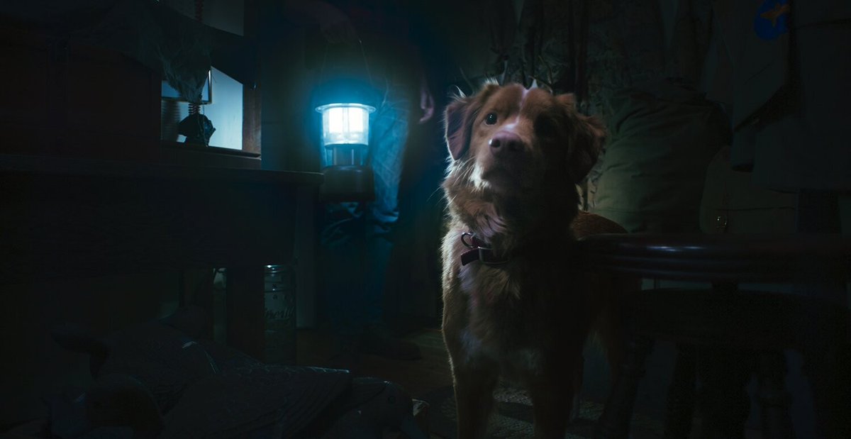 SceneinCinema's tweet image. Best Horror Movies of 2025 According to IndieWire.

1. Sinners (2025)

2. Good Boy (2025)

3. 28 Years Later (2025)

4. Final Destination: Bloodlines (2025)

5. Weapons (2025)

6. The Ugly Stepsister (2025)

7. Heart Eyes (2025)

8. Together (2025)

9. Silent Night, Deadly Night…