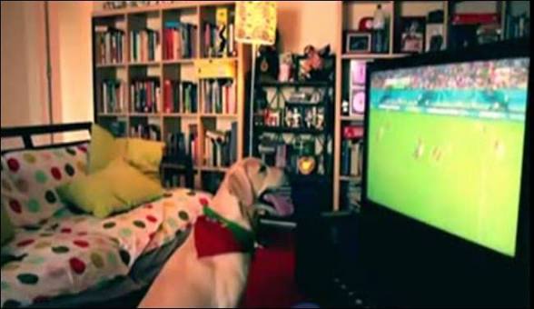 يلا مزال تفرجت فالمنتخب راني كلب ومنسواش
أنا اليوم مع 21:00 👇