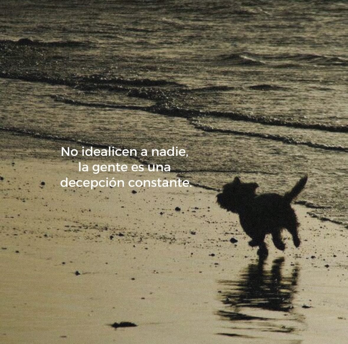 Real.