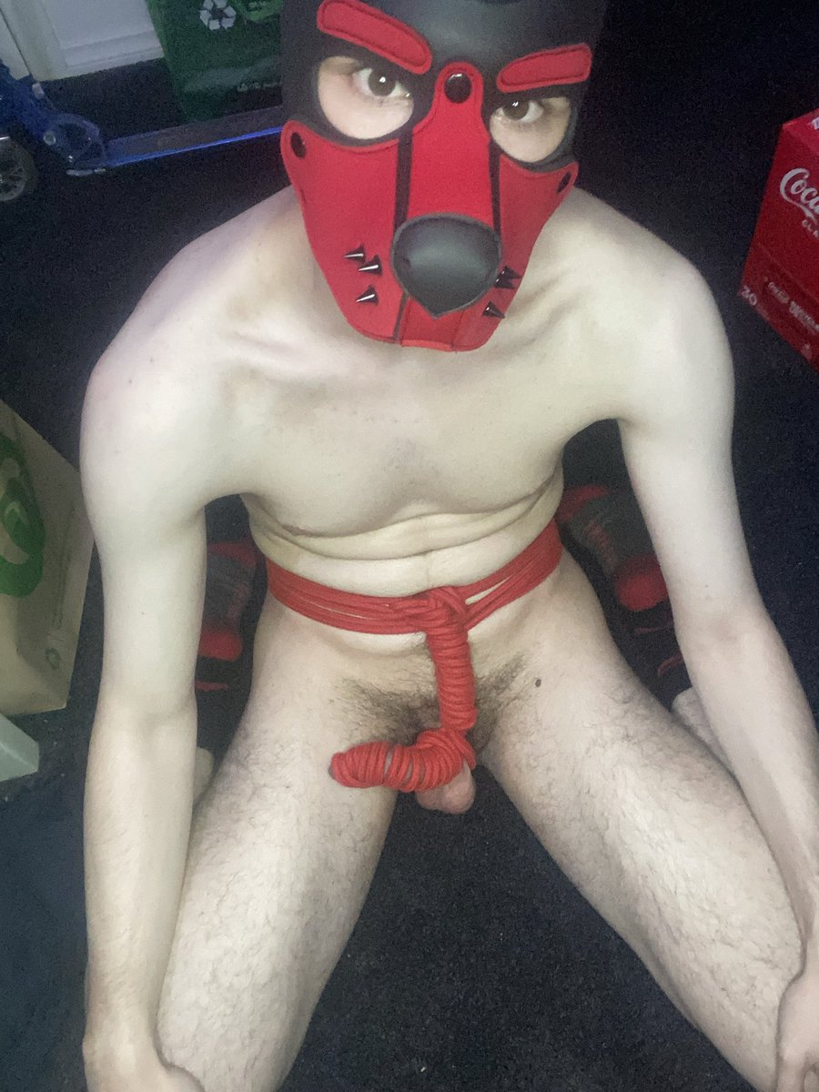 Pup Victus tweet media
