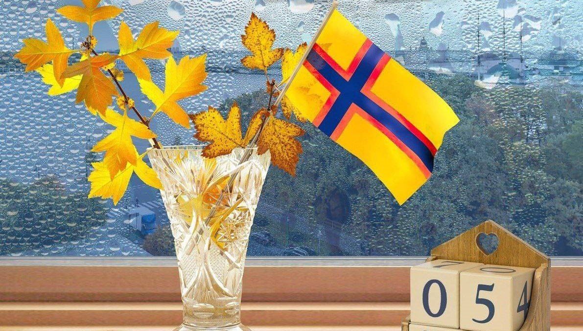 Bogáta Timár tweet media