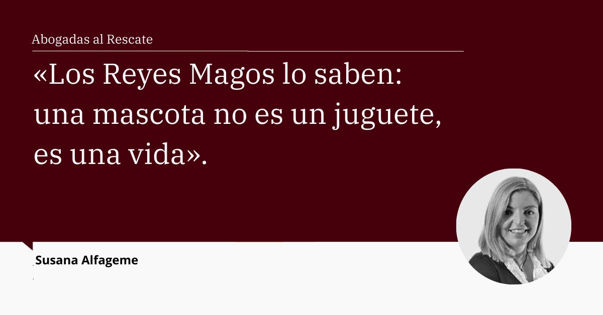 <a href="/Sualfageme/">Susana Alfageme</a>, #AbogadasAlRescate, reflexiona en este artículo sobre el regalo de mascotas en estas fiestas  👉 Léelo completo en tinyurl.com/mryn36zv