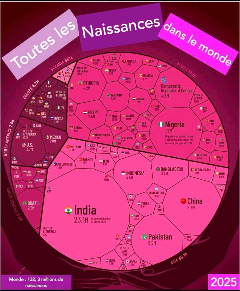 LudwigElsass's tweet image. Hé les blancs! Surtout continuez bien de ne pas faire de gosses pour sauver le climat 🤡