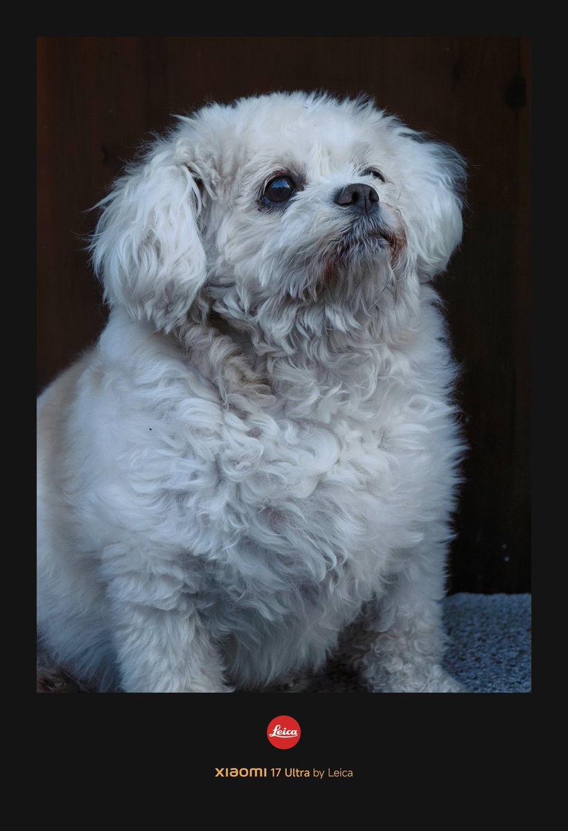 凌富贵 tweet media