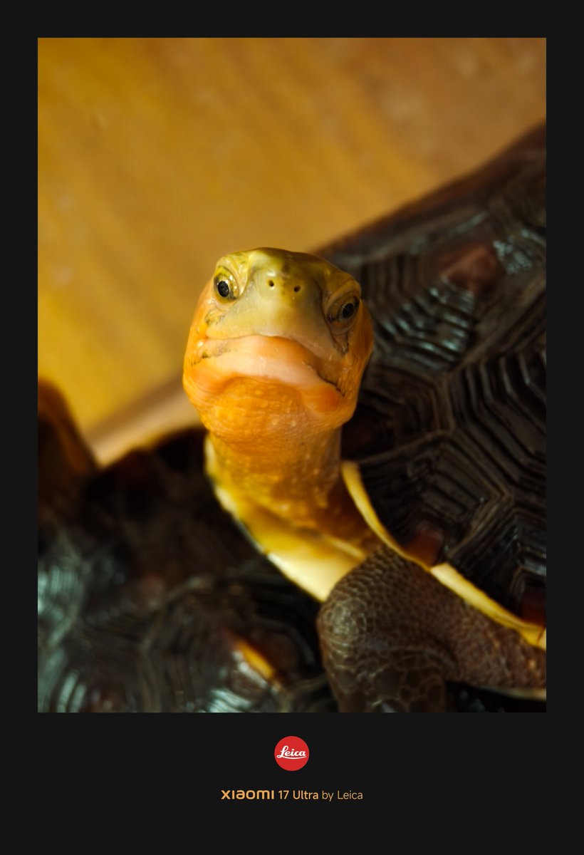 凌富贵 tweet media