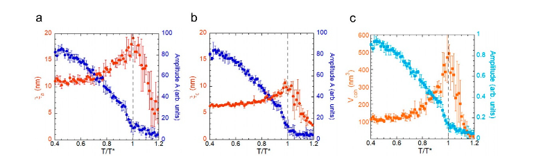 Condensed Matter MDPI tweet media
