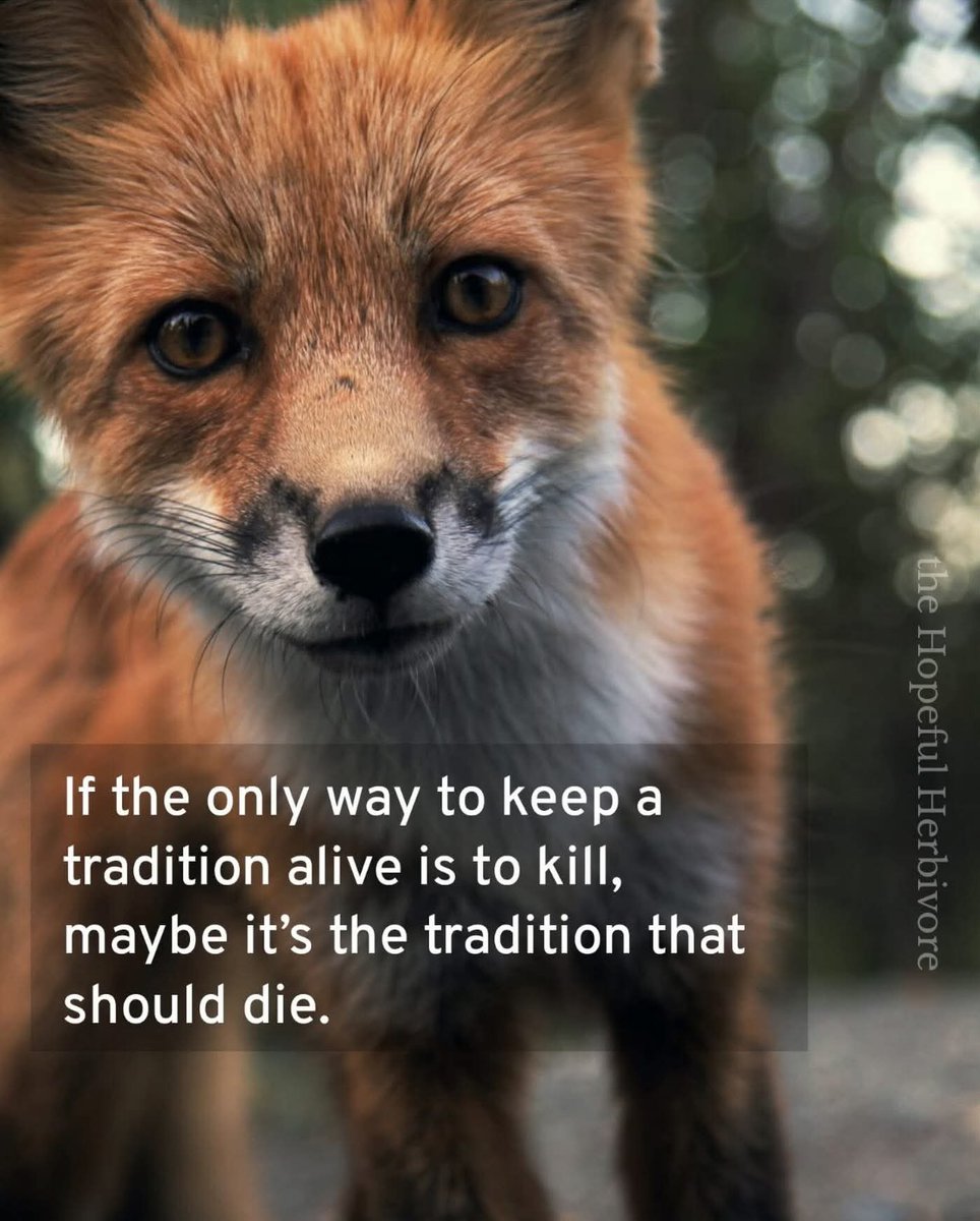 DERVIEMOO's tweet image. 