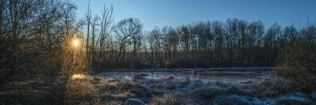 TriangleEP's tweet image. Anna Sharkey’s Review of 2025  -  Our CEO reflects on another busy year for our charity. 

adoption-focus.org.uk/news/anna-shar…