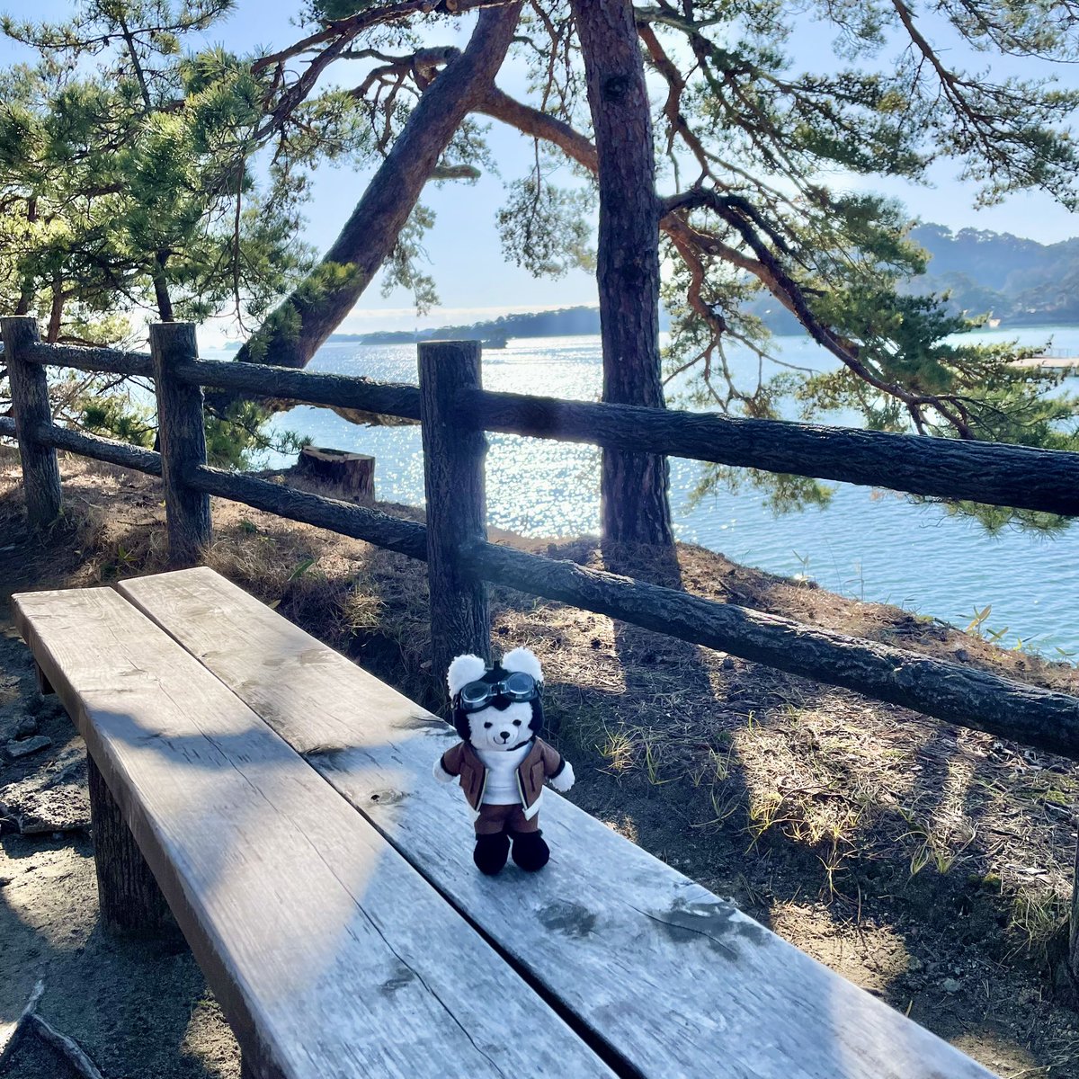 comugi99's tweet image. ああ松島や