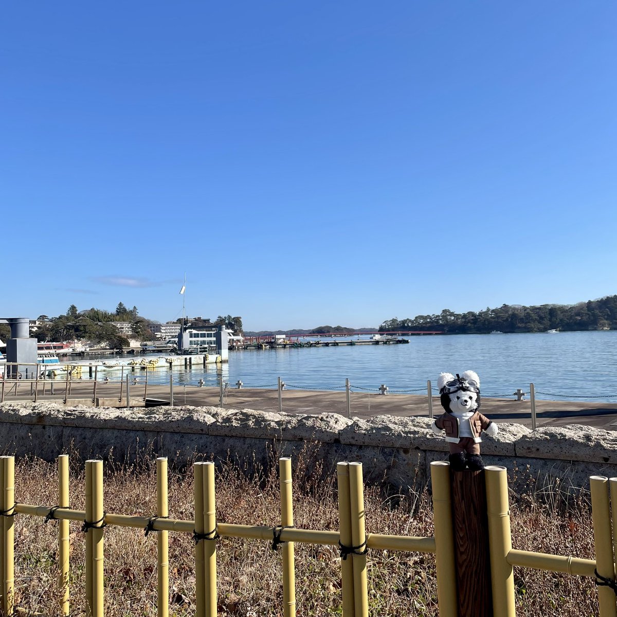 comugi99's tweet image. ああ松島や