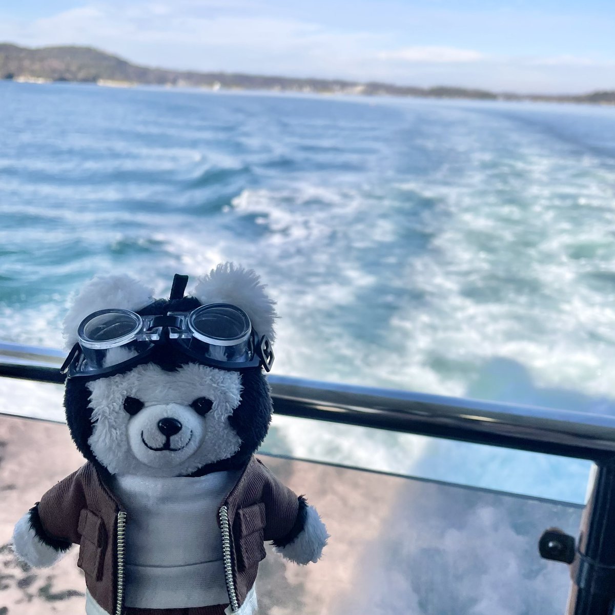 comugi99's tweet image. ああ松島や