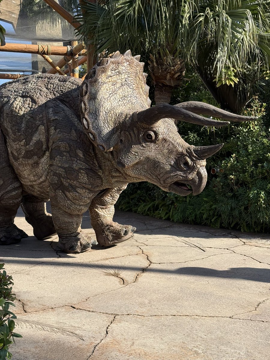 トリケラトプスだー！ #USJファン