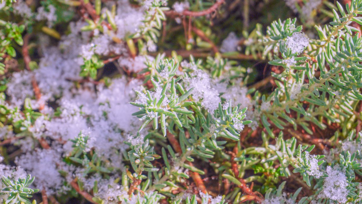 harerukitto's tweet image. #写真好きな人と繋がりたい #ファインダー越しの私の世界 #キリトリセカイ

自分らしい色　自分らしい写真　とは？