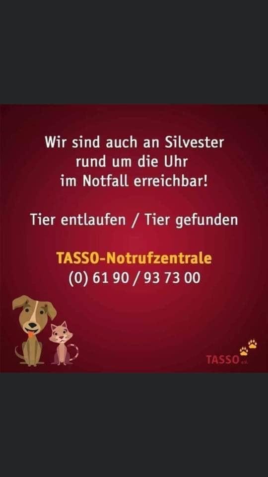 littlewisehen's tweet image. Weil’s leider wieder aktuell wird…