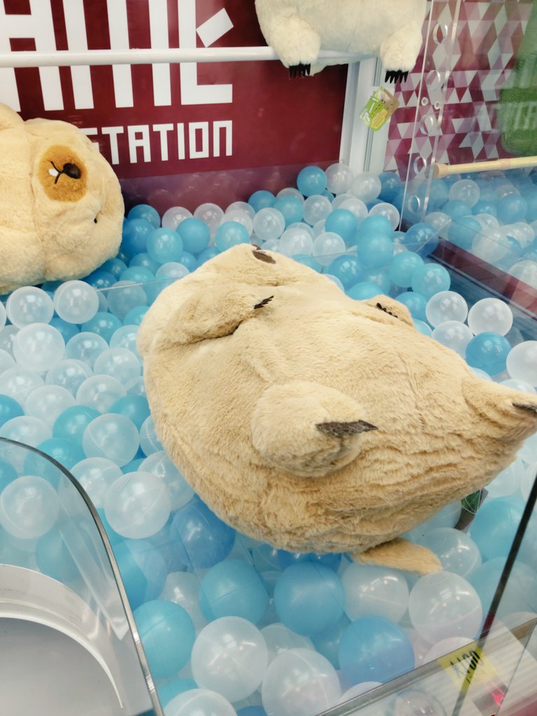 超久しぶりにUFOキャッチャーやったら取れたw 600円😆