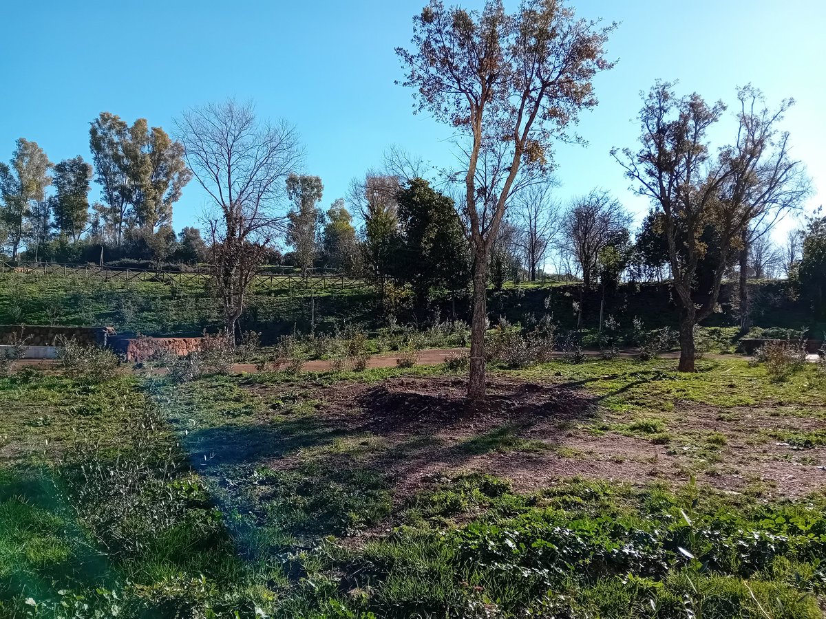 Musical Wizardry | Marco Iannello tweet media