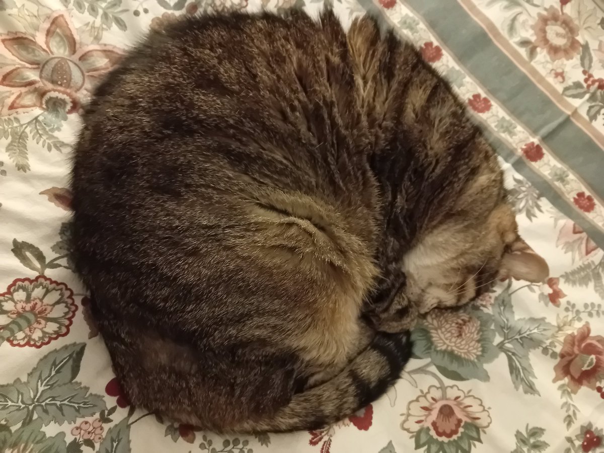 Musical Wizardry | Marco Iannello tweet media