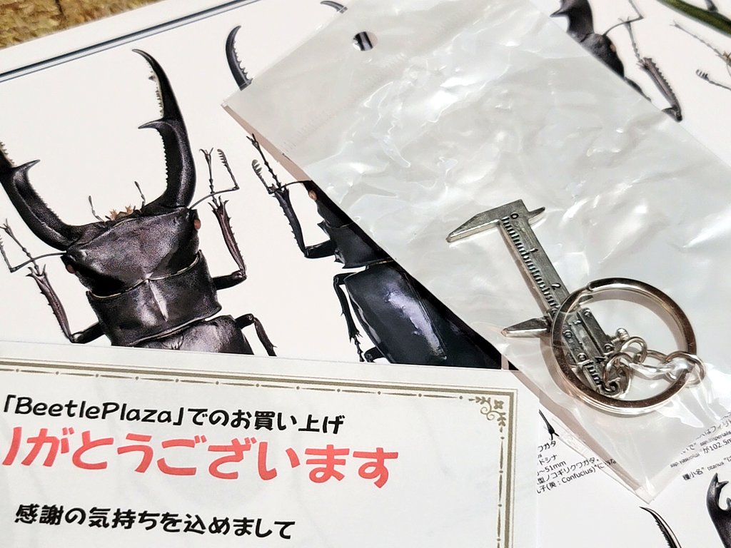 JJVENTJJ's tweet photo. フォーテックさん（@Fortech_twt）から
🎄メリークワガタマスSALE🎄
の購入品届いてました😄
毎度助かります🙇
今回は恒例のカレンダー🗓️
そしてノギスキーホルダー✨
小型種はこれで計れる😁
#すこやかゼリー 
#産卵一番 
#フォーテック https://t.co/lv74o85Cud