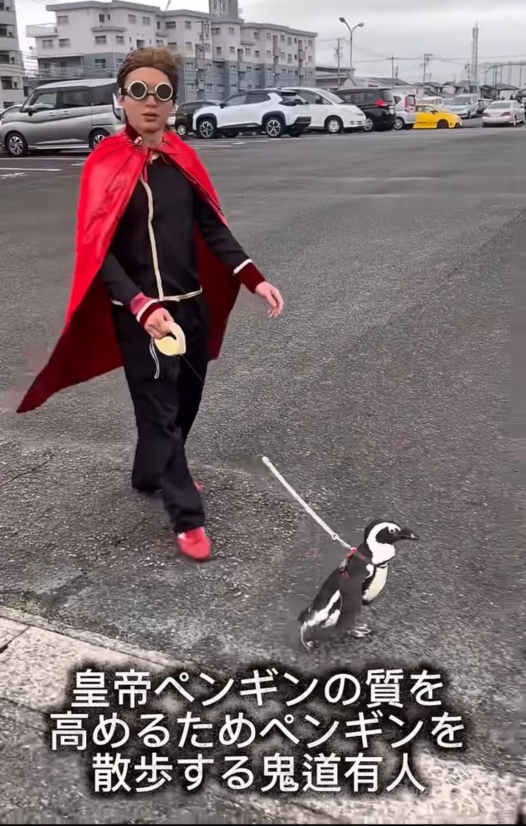 下ちゃん (@MkVspecial) / Posts / X